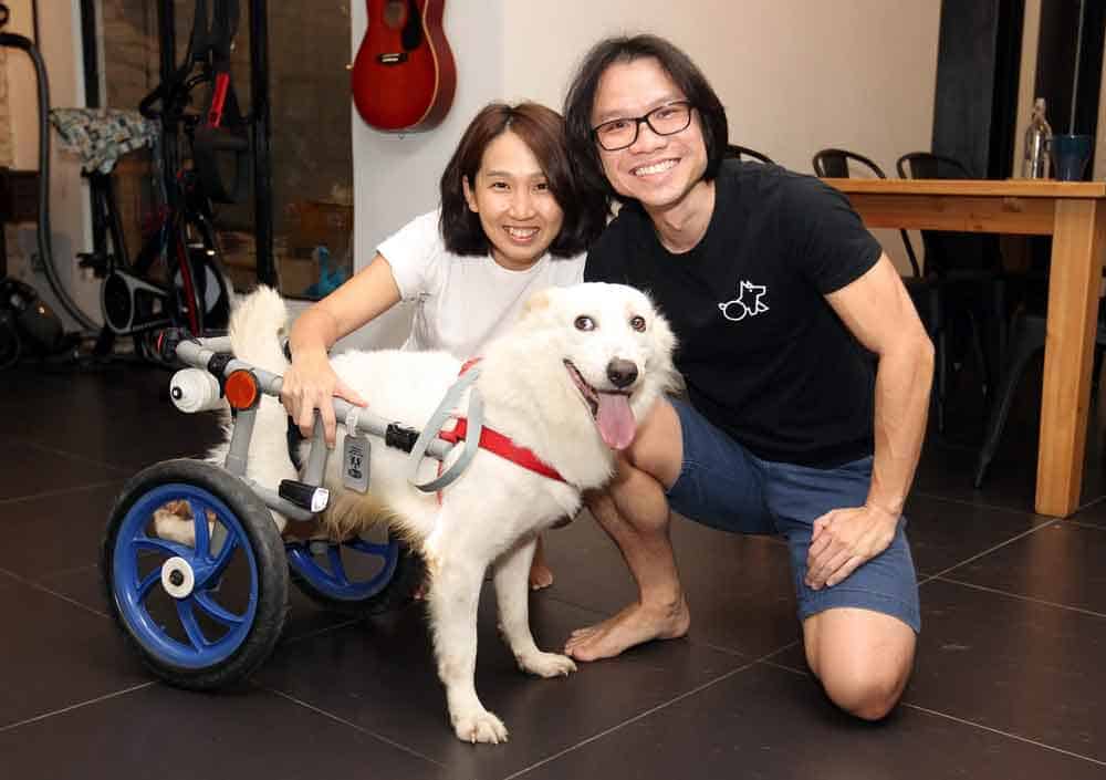 En una casa, aparece una mujer, un hombre y un perro en silla de ruedas. Están sonriendo a la cámara.
