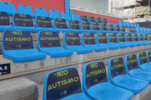 Palco autismo partido de fútbol España